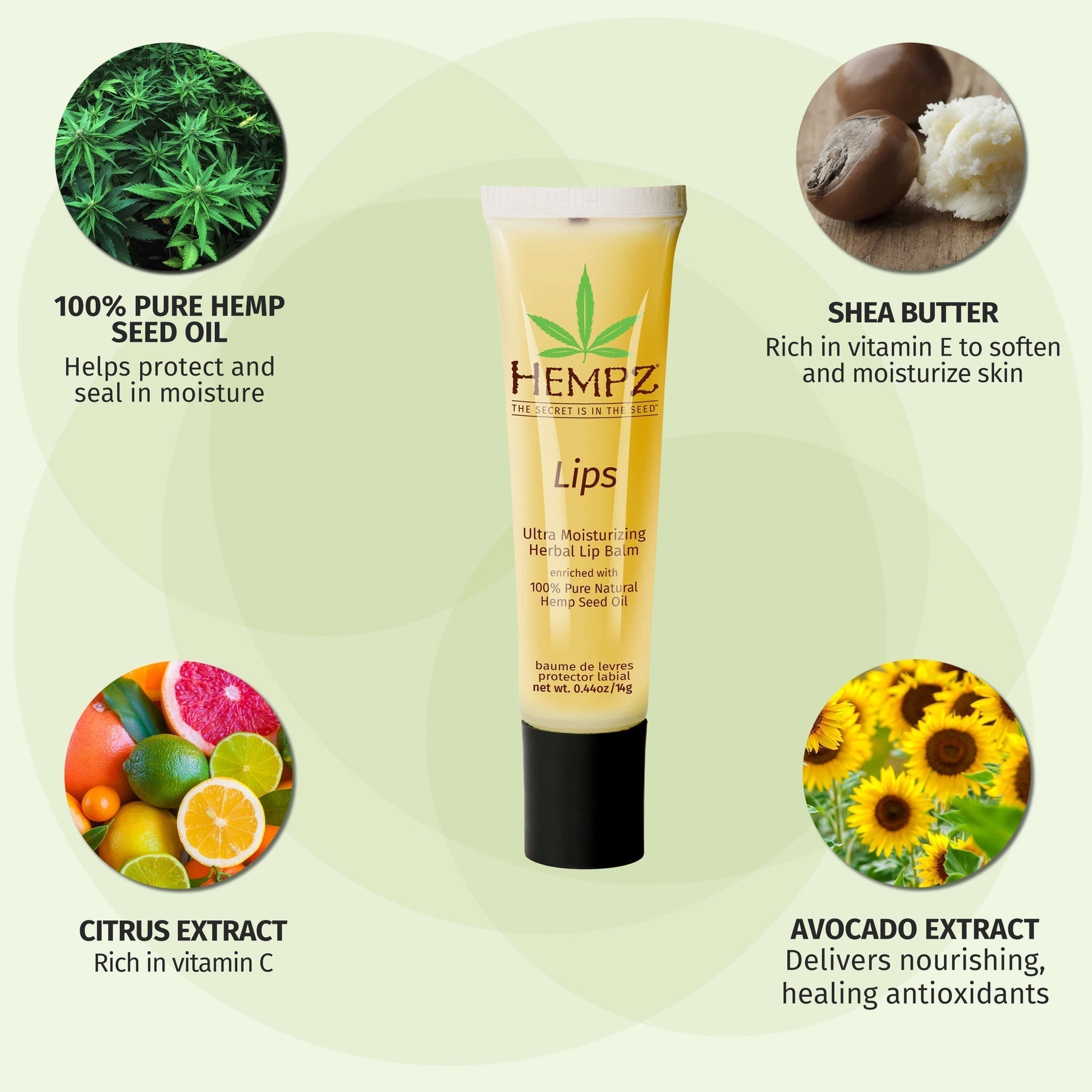 Hempz Daily Herbal Lip Balm