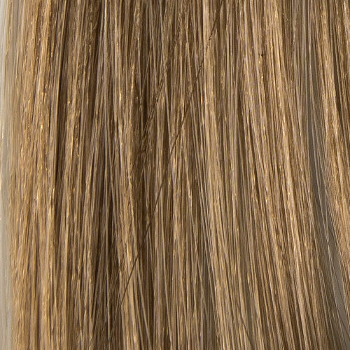 Prorituals Hair Color - Fundamentals - Empire Barber Supply